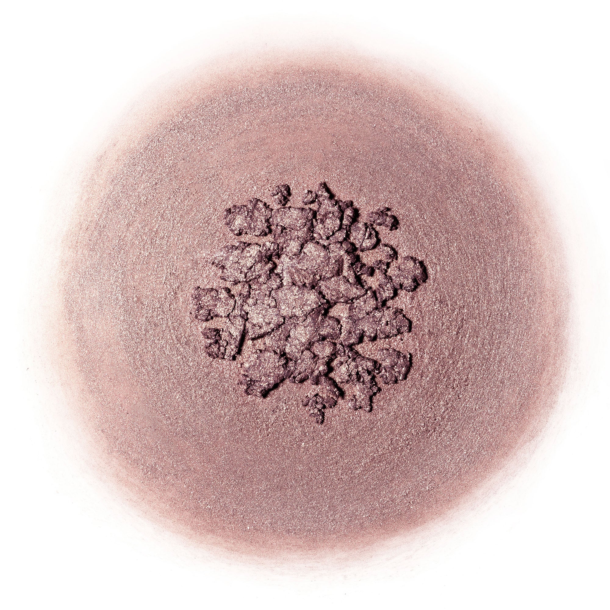 Ash and Ember Eye Soot: Fauna - Image 6