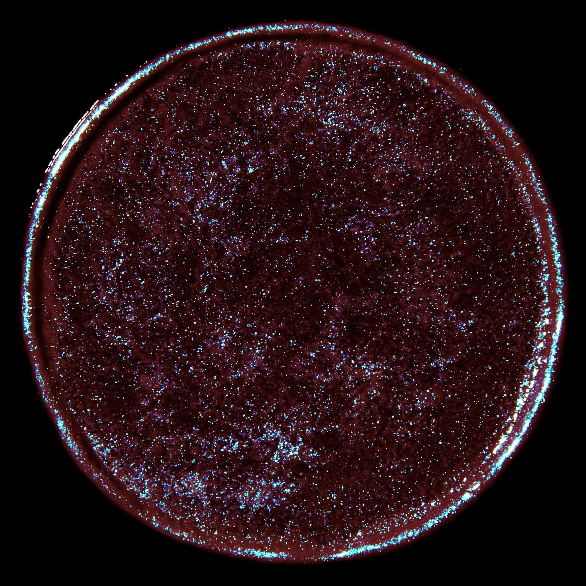Celestial Sphere Gelée Eye Gloss: Cygnus - Image 8