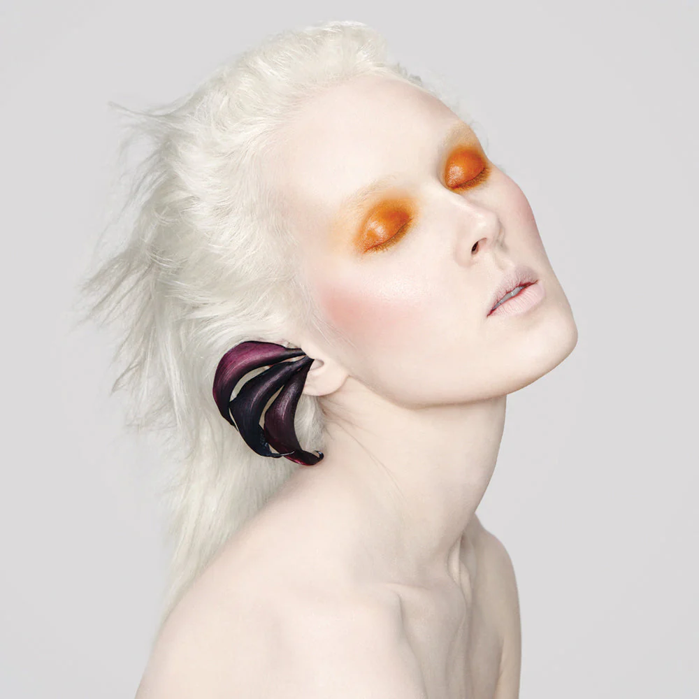 Color Set: Bloodroot + Rose Pinch - Image 3