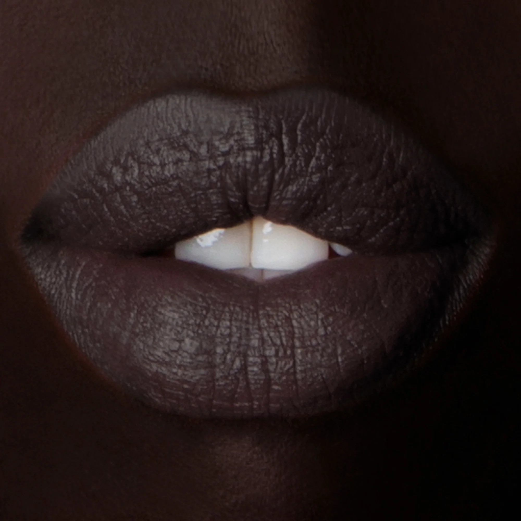 Enchanted Lip Sheer: Black Locust - Image 5
