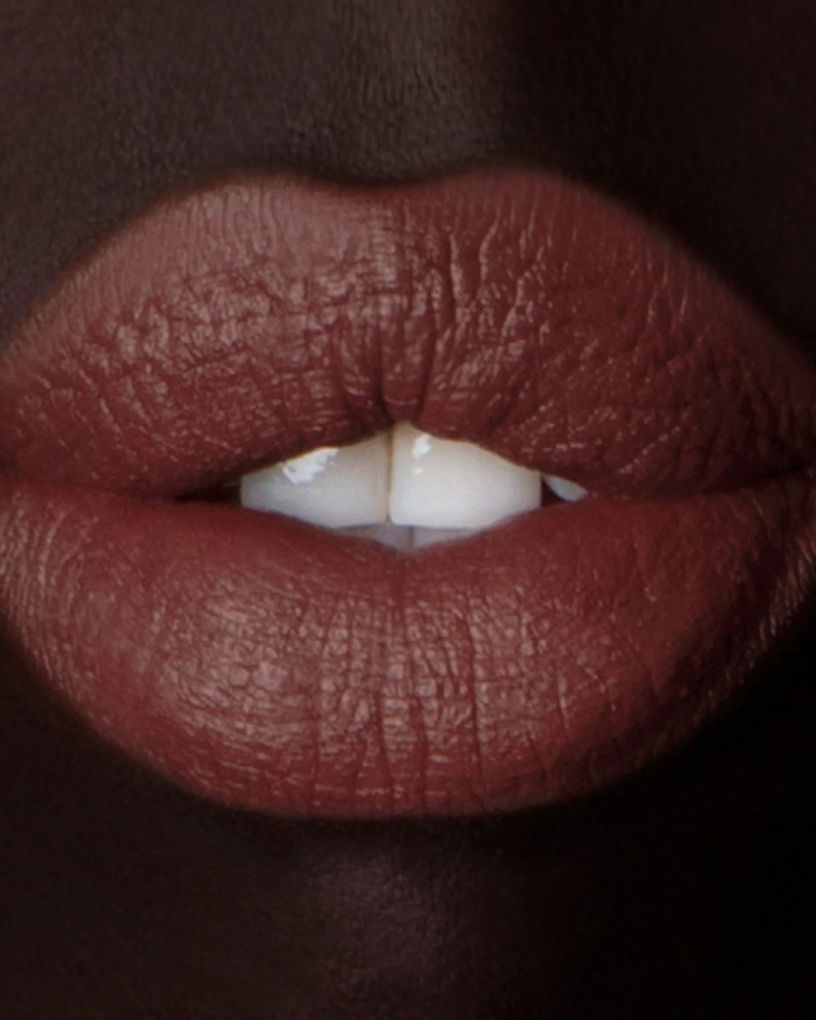 Enchanted Lip Sheer: Snakeroot - Image 4